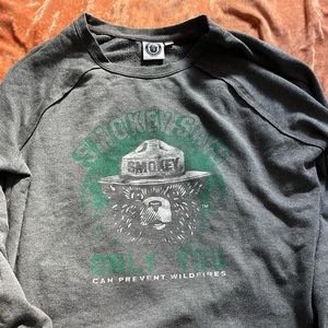 CAMP CREWNECK / SMOKEY THE BEAR 🐻